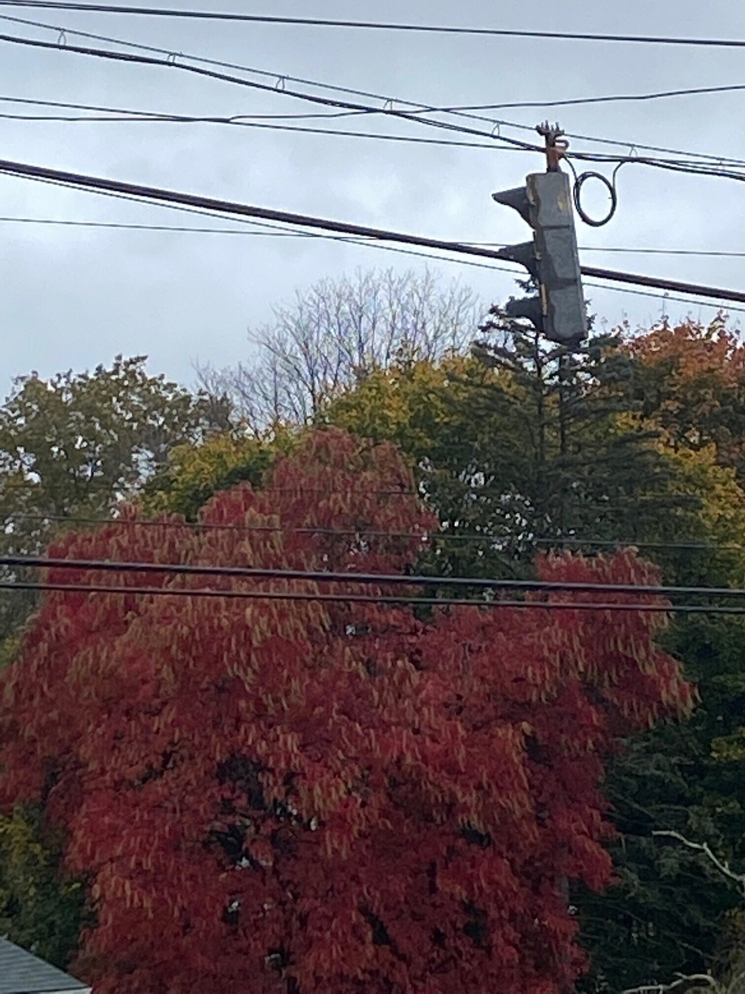 Got to see some fall colors