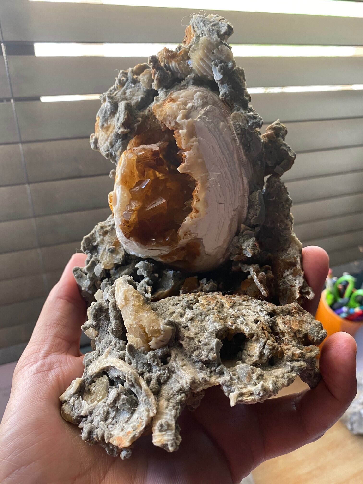 Picked up this complete Ruck’s Pit Calcite in Clam