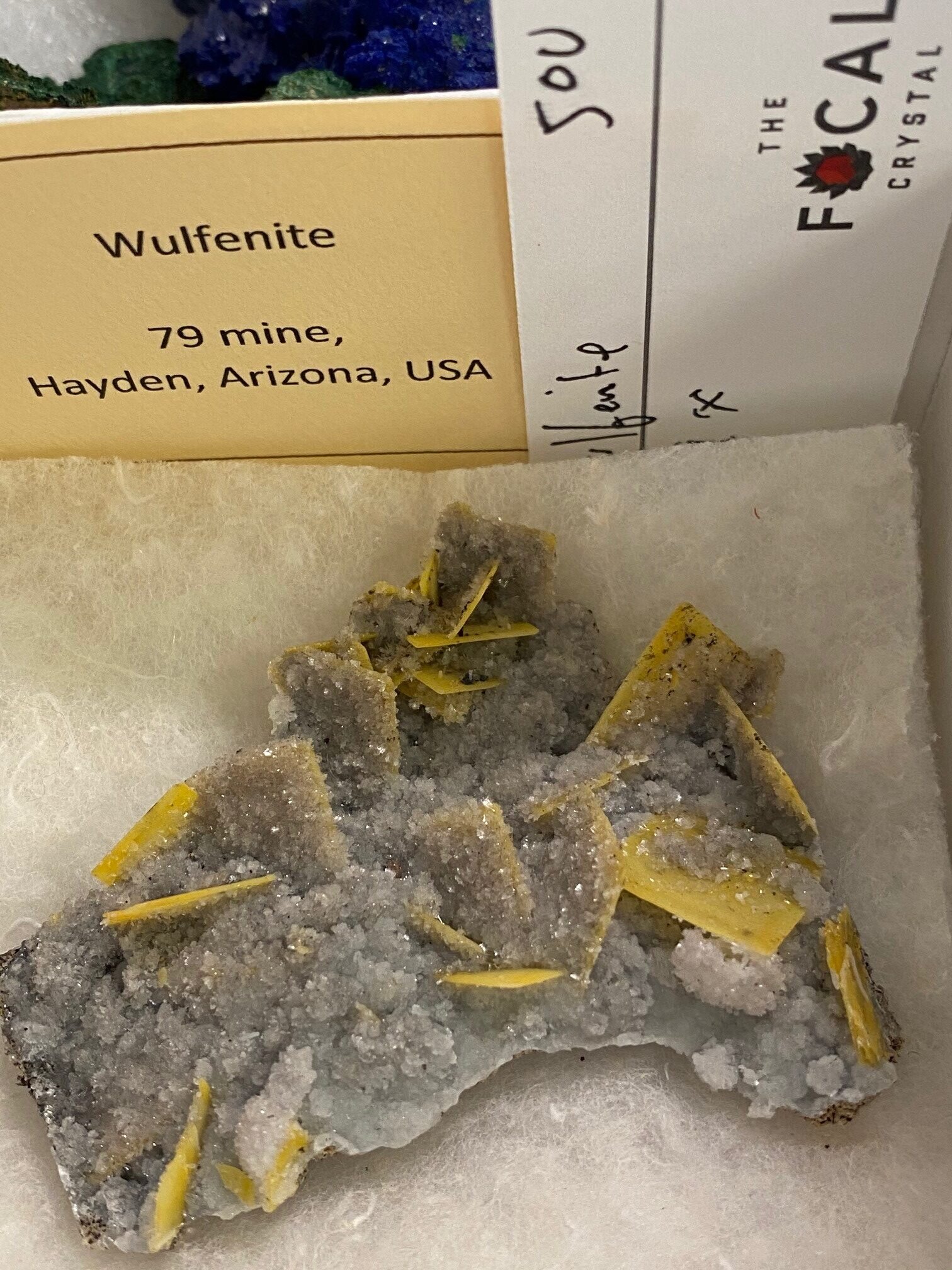 79 Mine wulfie – available