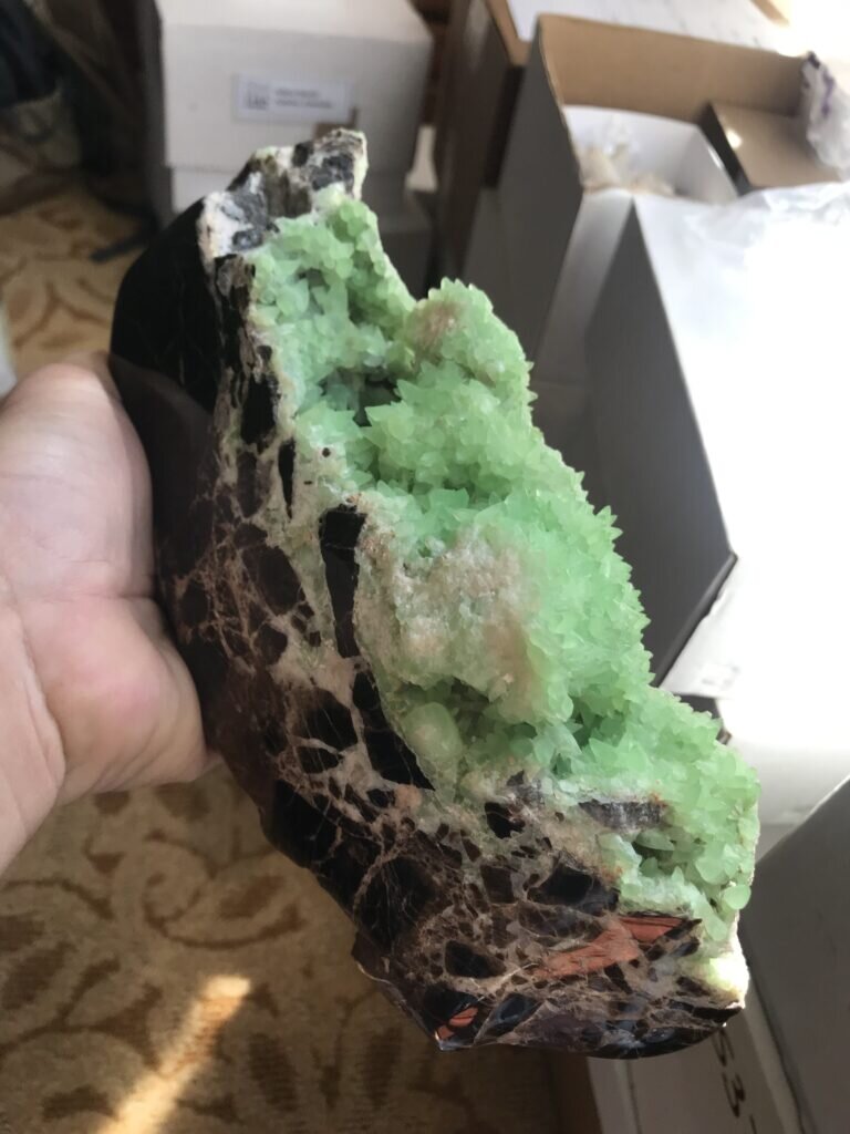 Kiwi Calcite on petrified wood from Utah at Ziga Minerals