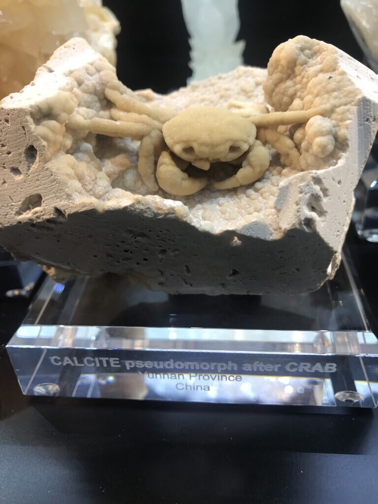 Another new favorite in the Dr. Rob Lavinsky China Collection is this Calcite after Crab pseudomorph