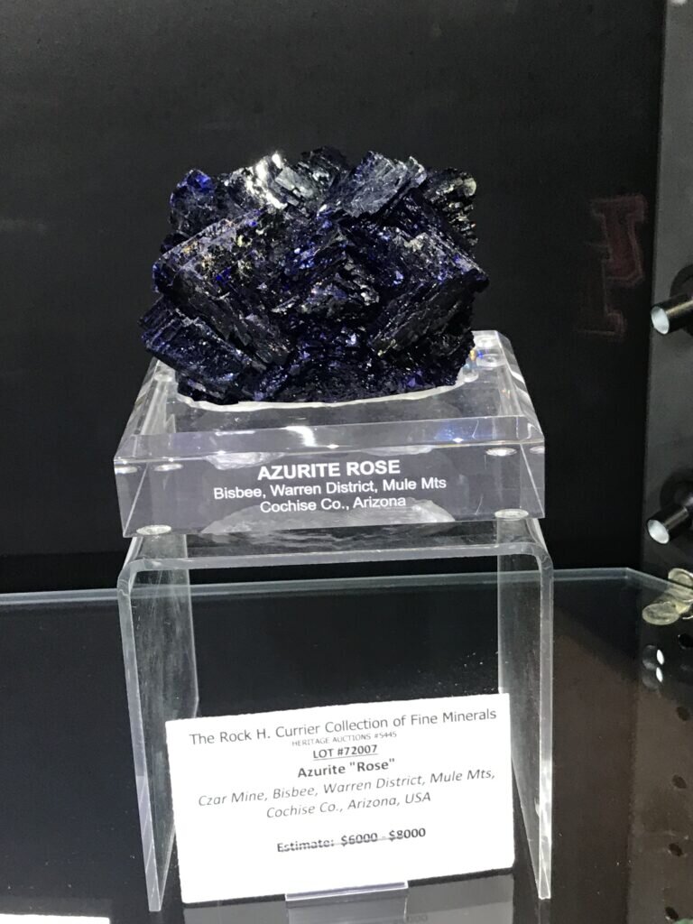 This excellent and large Azurite rose from Bisbee stole many hearts, but the piece came home to a Houston collection!