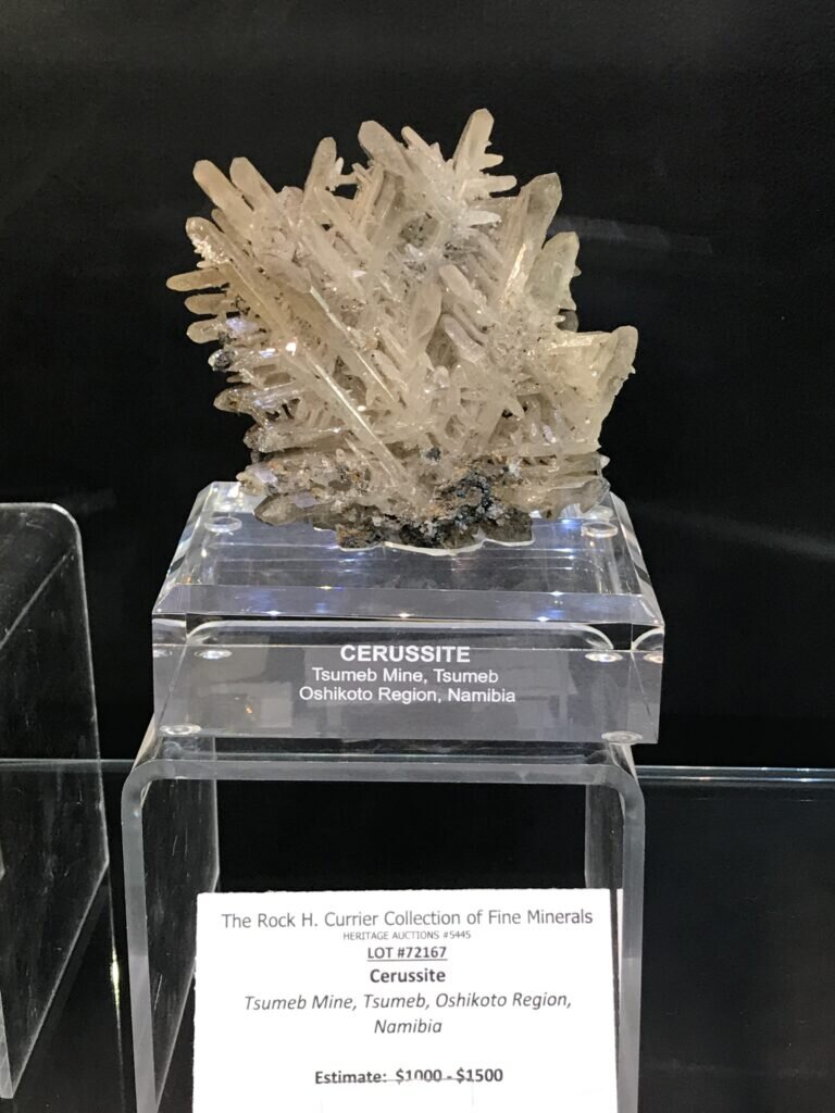 My favorite rock at the Currier Auction. Snowflake Cerrusite from Tsumeb.