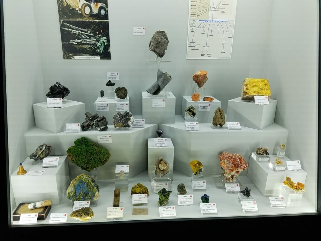 Lead Minerals was the theme this year with several cases chocked full of goodies.