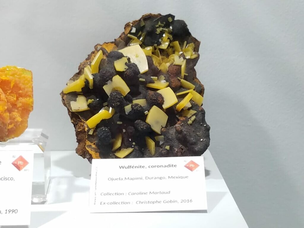 The banana yellow wulfenite on black matrix are some of our favorites.