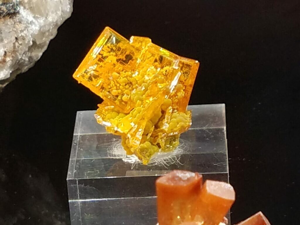 Gem window pane wulfenite from the San Francisco Mine never goes out of style. Small but perfect.