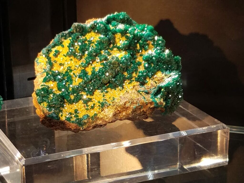 New find of bright green Dioptase with mustard yellow mimetite on brown matrix. These are bursting with color!