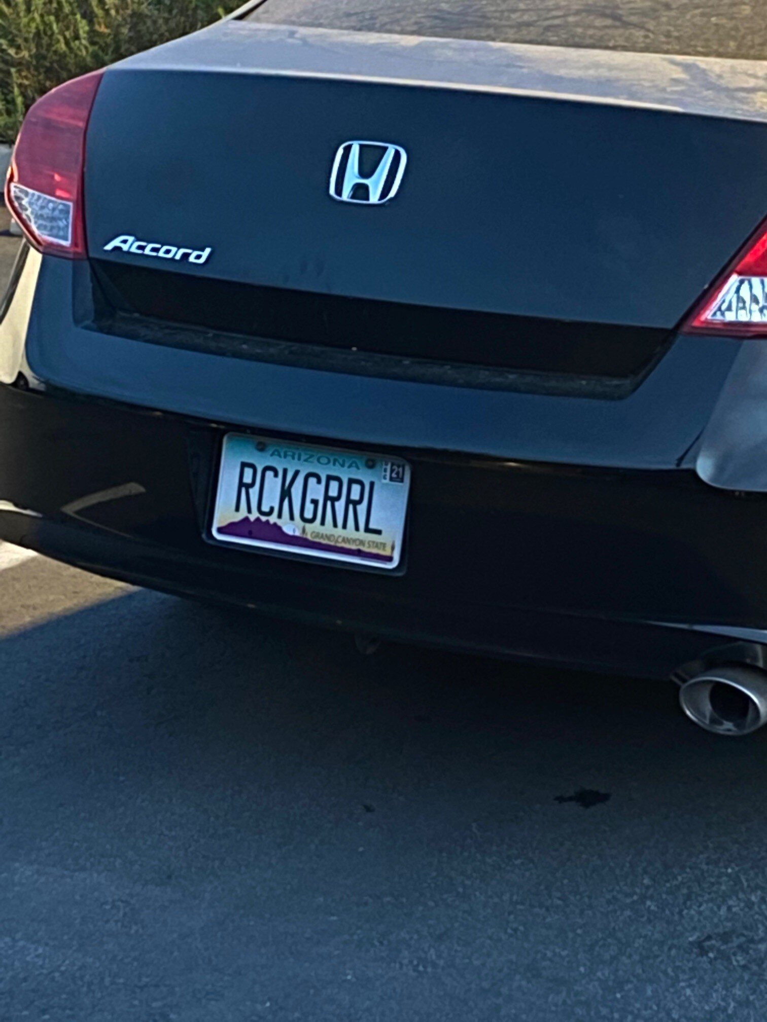 Dig the Plate!