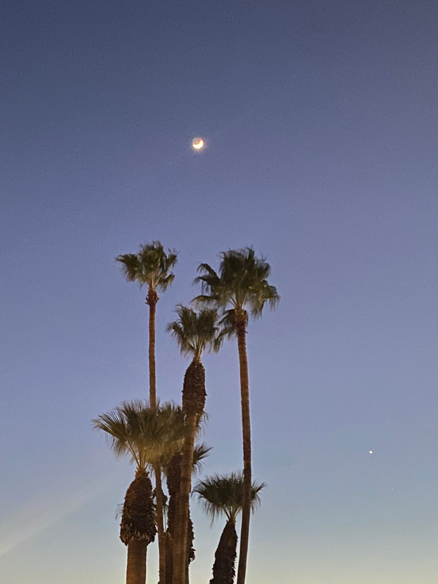 Tucson Night Sky