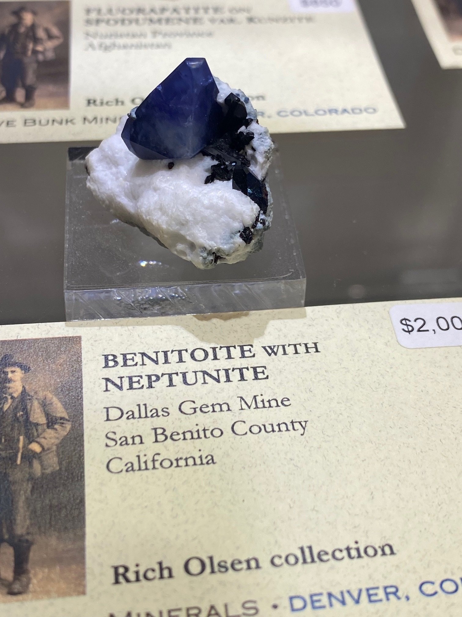Very Fine Benito at Bunk