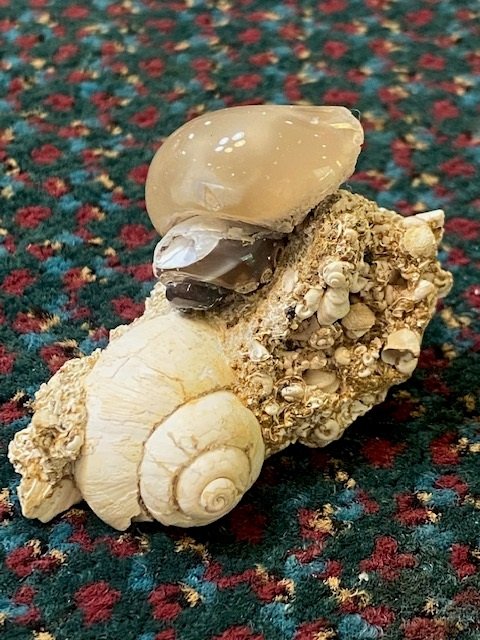 Agate after Snail from Cal &amp; Kerith