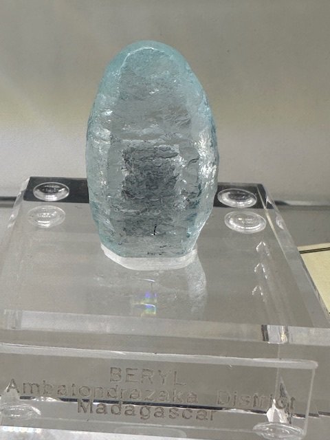 Aqua "The Bullet" from Madagascar