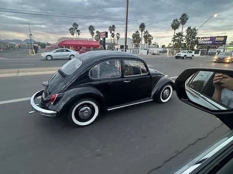 Super Clean Bug