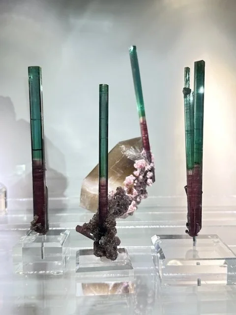 Bi-Color Family Photo