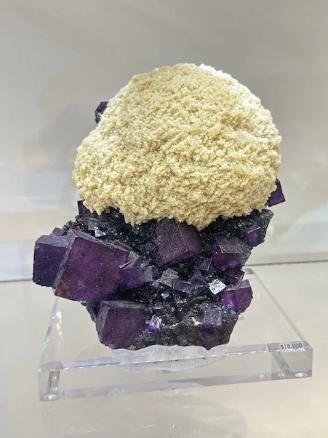 Elmwood Added to our Collection