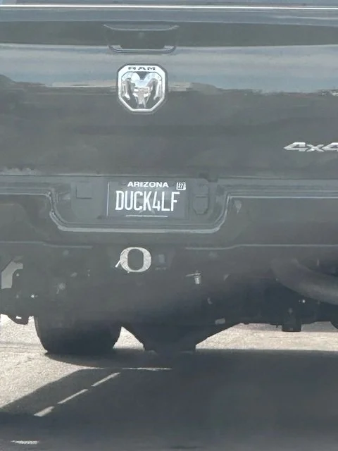 Oregon Ducks Represent