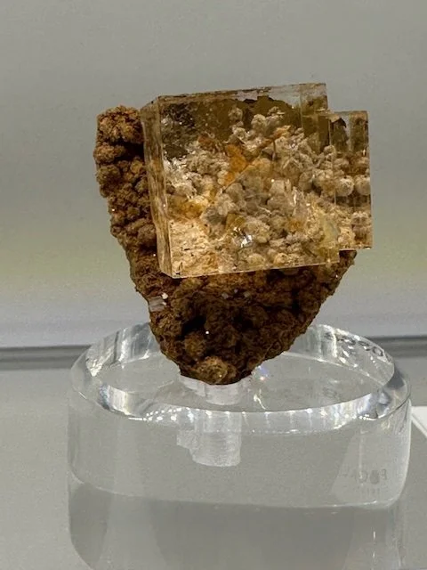 Killer TN, Dalnegorsk