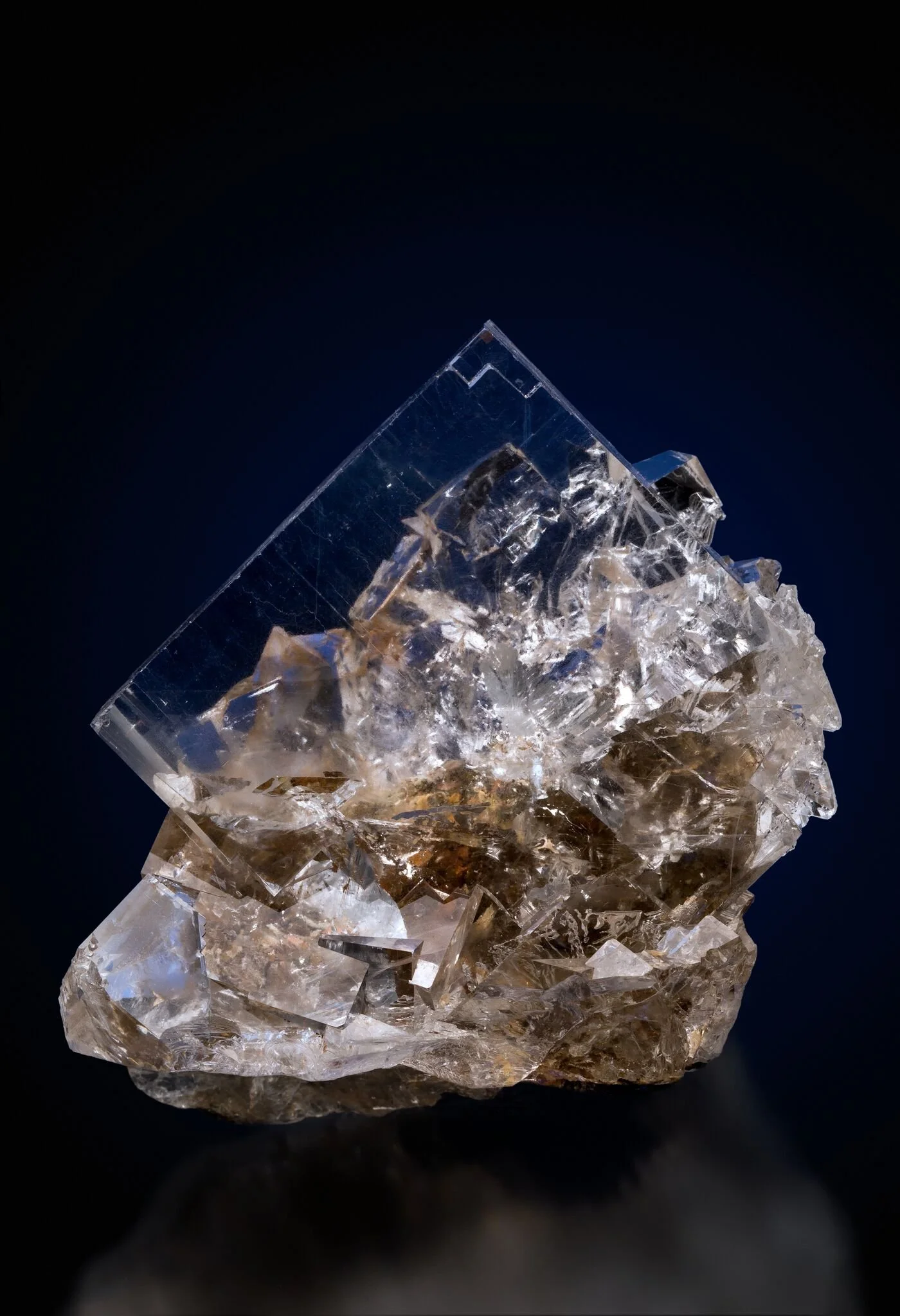 New Arrival, Dalnegorsk 10cm