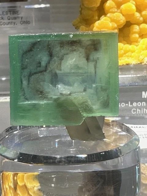 New Arrival, Perfectly Perched