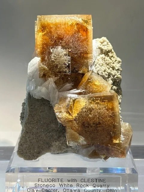 New Arrival, Clay Center