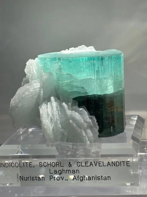 Sculptural new arrival