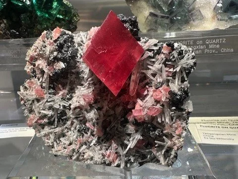 Sweet Home Rhodo, Sold