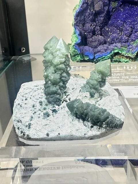  New Arrival, Ex Sussman