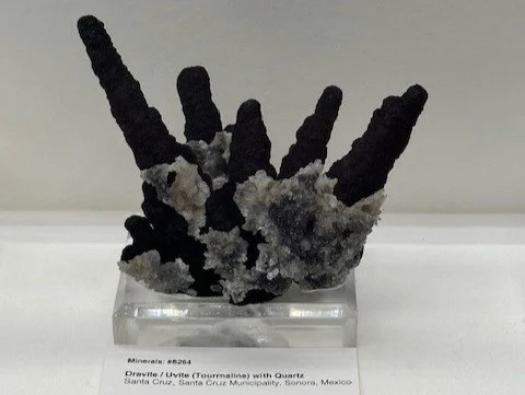 Another Bruce Carter Auction Beauty