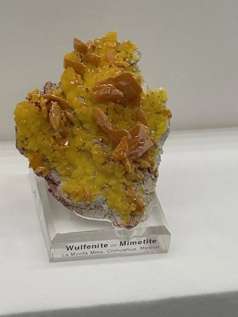 LaMorita, Bruce Carter