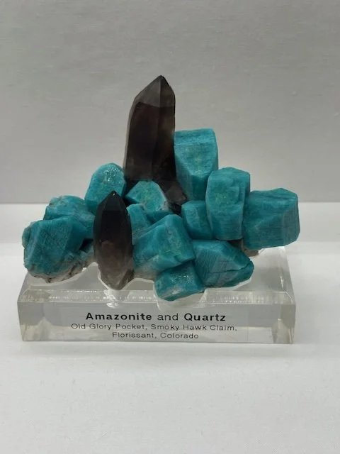 Soo Aesthetic, Bruce Carter