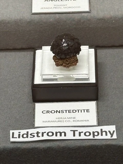 Your Lidstrom Award Winner