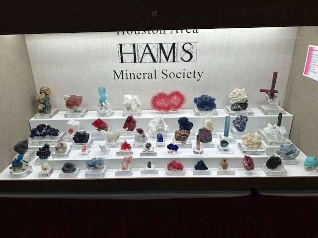 The HAMS Group from Houston