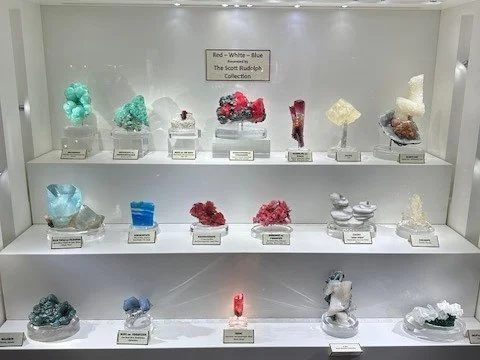 Scott Rudolph Display Case