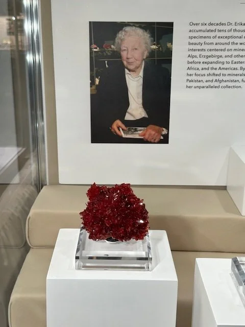 Dr. Erika Pohl Rhodo