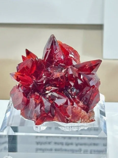 Another Dr. Erika Pohl Rhodo