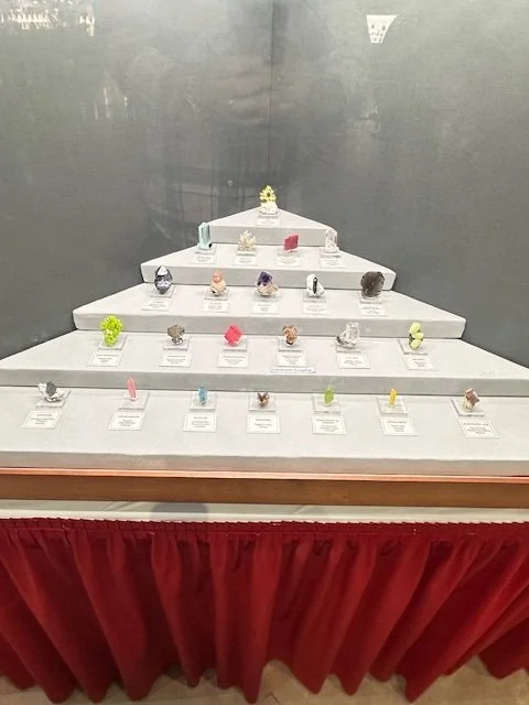 Hanna Brodhagen's Case