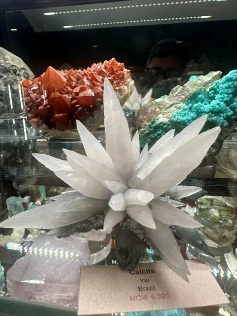 Irai Lotus Flower