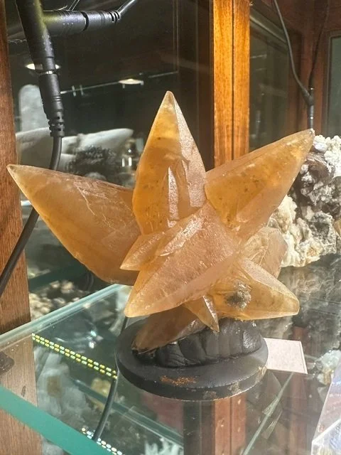 Niiice Aesthetics