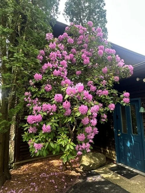 Front Door Greeter