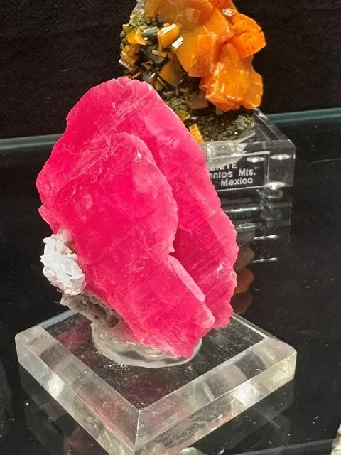 Wutong Petals
