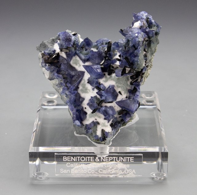 New Arrival from Brent