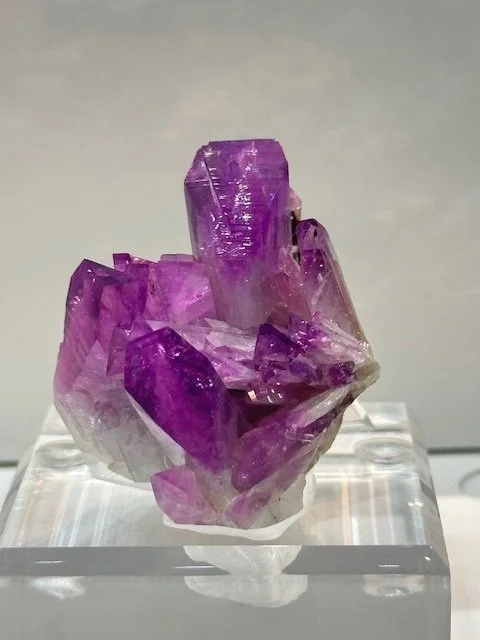 Jason's Purp