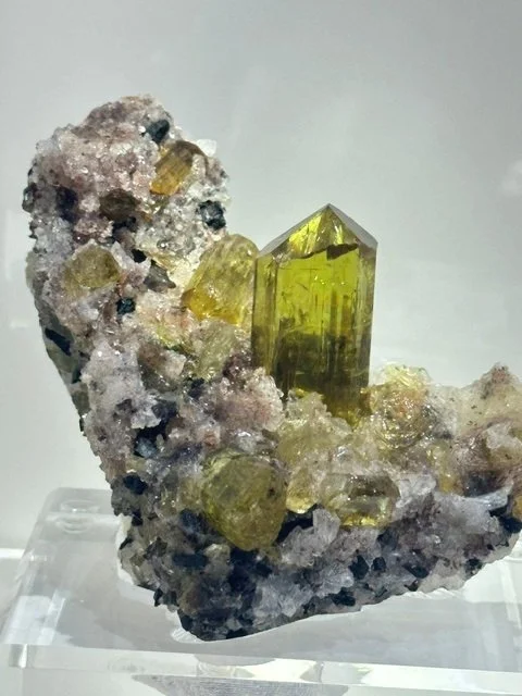 Appetite for Apatite