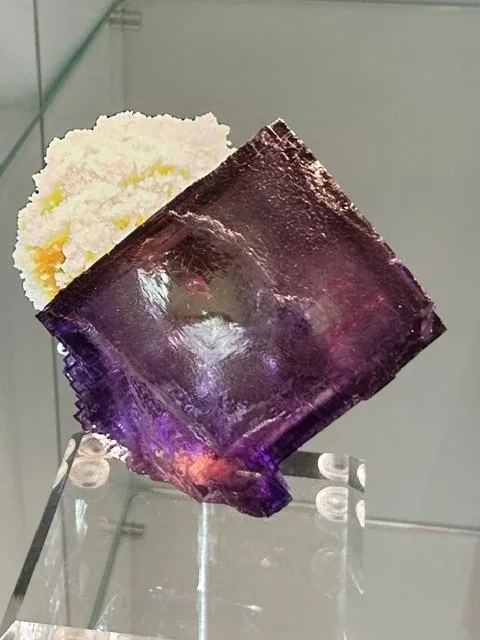 Elmwood see through jewel Fluorite