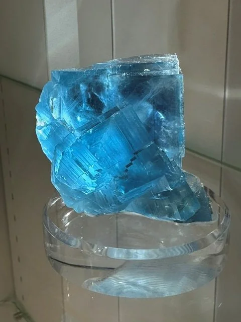 Frenchy Bleu