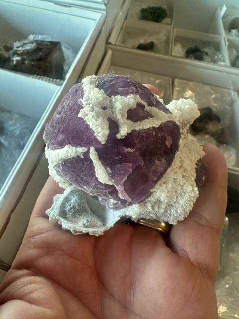 Arizona, New Find!