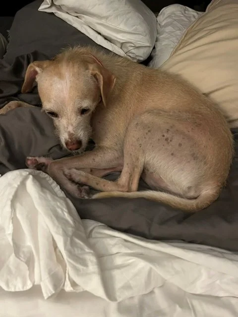 The Duder waits....
