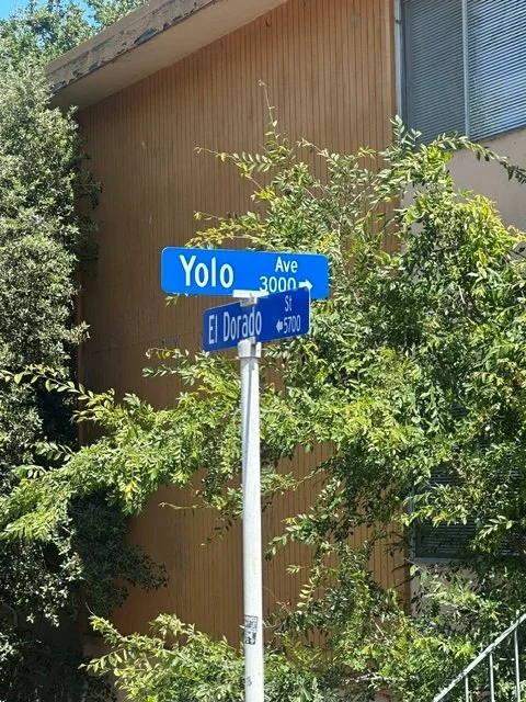 You Only Live Once, Indeed