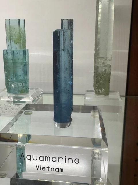 Gene's Vietnam Aqua