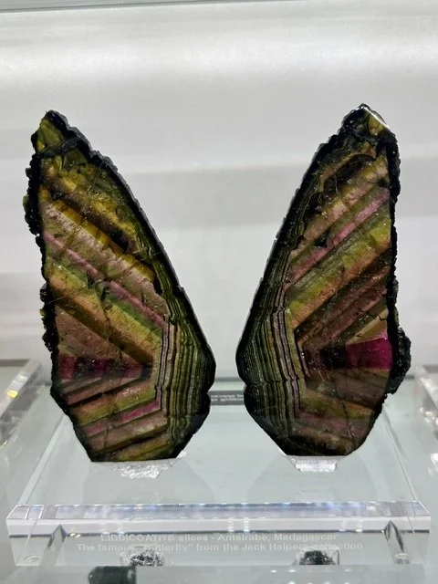 The Butterfly